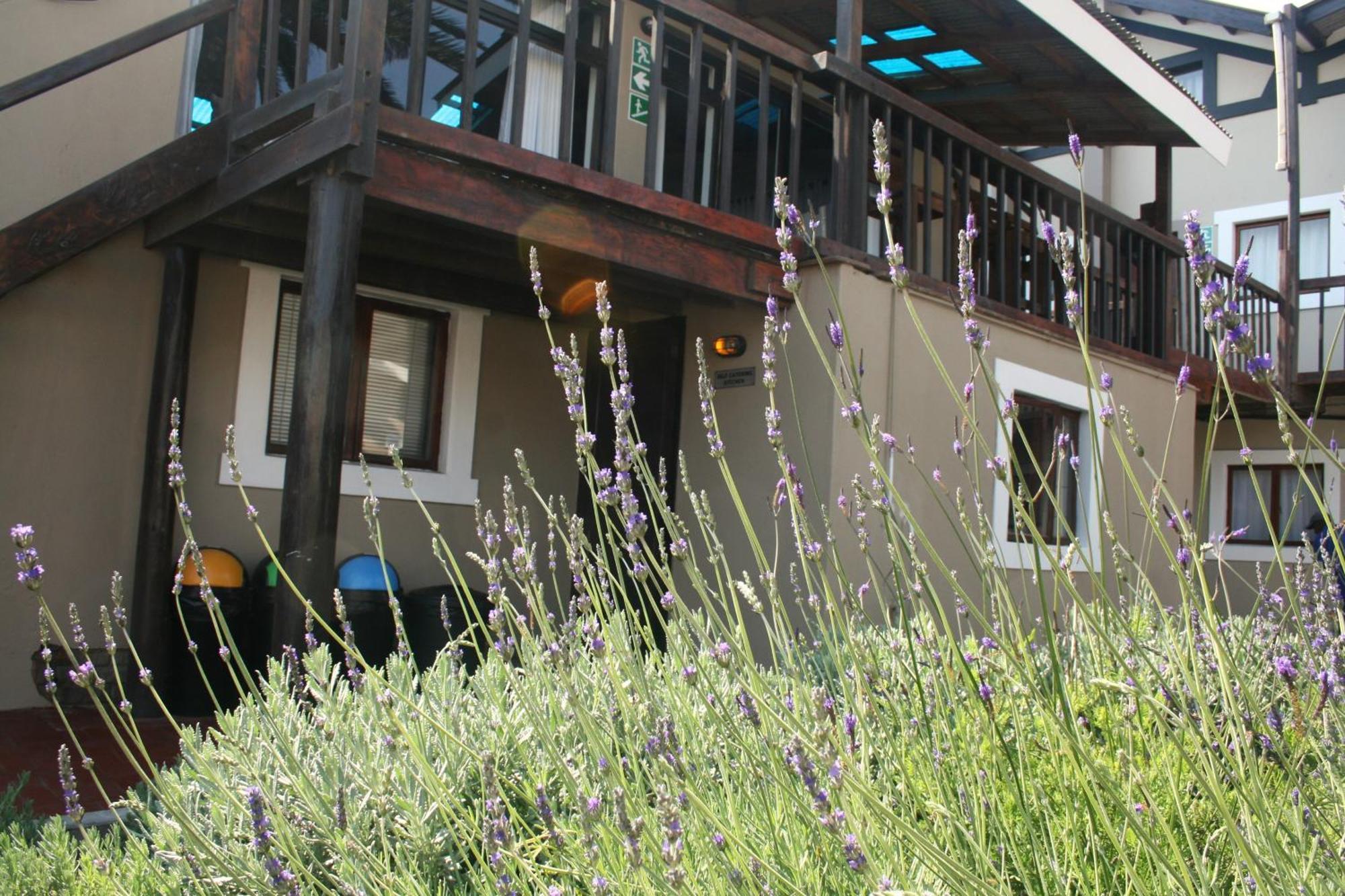 The Residence At Villa Wiese Swakopmund Buitenkant foto